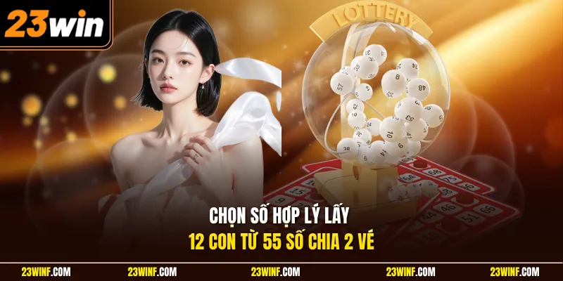 Chọn số hợp lý lấy 12 con từ 55 số chia 2 vé