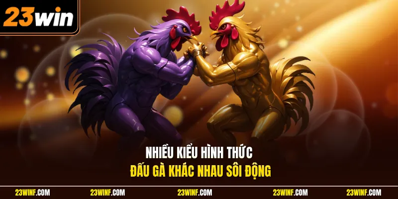 Nhiều kiểu hình thức đấu gà khác nhau sôi động